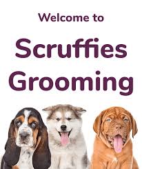 Arley darlins mobile dog grooming. Mobile Dog Grooming Biggleswade Sandy St Neots