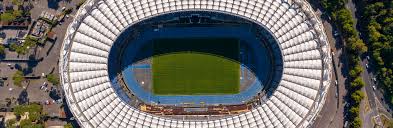 Image result for Stadmannia