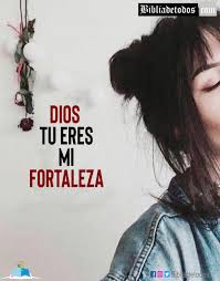 No hay temor qué sentir, pues dios siempre está, siempre frases positivas de agradecimiento a dios. Dios Tu Eres Mi Fortaleza