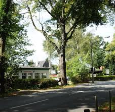 Er weiß, wie schnell sie selbst und ihre pläne von den winden der zeit verweht werden. Pflanzenmorder Wer Baume Qualt Geniesst Die Macht Welt