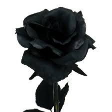Find beautiful artificial flower bouquets &; Rose Silk Flower Black 63cm 87619 Buy Online