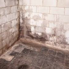 Finishing a basement can be broken down into three distinct projects: How To Insulate A Basement Concrete Wall Arxiusarquitectura