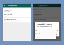 Whatsapp Is Experimenting With Disappearing Messages Social Media Resources Messages Encrypted Messages