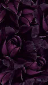 Muchatseble Purple Flowers Wallpaper Flower Wallpaper Purple Wallpaper