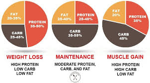 Everything You Need To Know About Macros Macro Calculator Macros Diet Macro Diet Calculator