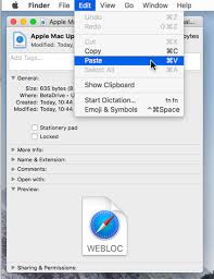 It's a little fiddly and requires using the terminal app, so this is only recommended for those who feel confident using their mac. How To Add Urls To Your Dock Using Custom Icons
