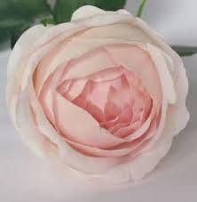 Real touch flowers material desktop decor hydrangea flower artificial flower. Roses David Austin Open Bud Real Touch Giftlines