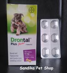 Ubat jeragat, ubat jerawat, ubat jerawat farmasi, ubat jerawat kulit berminyak, ubat jerawat terbaik di watson, garden of eden serum untuk. Ubat Cacing Untuk Anjing Perubatan H