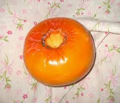 Today, persimmons are grown in a plethora of varieties in china, burma, northern. Persimmon Wikipedia
