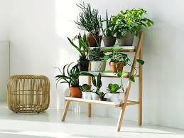 Une Etagere Echelle Pour Une Deco Vegetale Deco Plantes Interieur Jardin Interieur Tablettes Pour Plantes