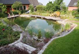 Schwimmteich Naturschwimmbecken Wasserspiel Garten Schwimmteich