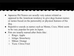 From the traditional to the unusual, you will love this collection. Pet Names