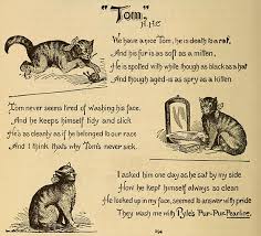 The shelter has many cats waiting for their perfect home. How Do Cats Communicate With Each Other Library Of Congress