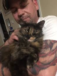 Lost dog in Mosby Point Florence KY