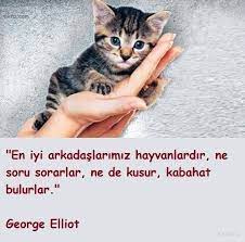 hayvan sevgisi ile ilgili resimli sozler 1 hayvanlar ile ilgili resimli sozler resimli hayvanlar ile ilgili sozler resimli ya hayvan hayvan sozleri hayvanlar