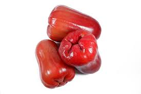 Check spelling or type a new query. 396 Jambu Air Photos Free Royalty Free Stock Photos From Dreamstime