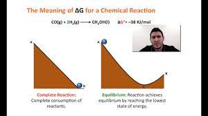 How Would You Define The Concept Of Equilibrium In Terms Of Free Energy And Entropy Socratic