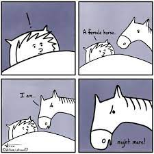 Pin On Funny Horse Equestrian Stuff