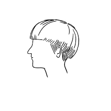 Social and cultural phenomena specific to the internet include internet memes, such as popular themes, catchphrases, images, viral videos, and jokes.when such fads and sensations occur online, they tend to grow rapidly and become more widespread because the instant communication facilitates word of mouth transmission. Let S See If You Know The Names Of These 14 Common Hairstyles