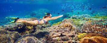 L'isola si trova all'interno dell'omonima area marina protetta. The 20 Best Snorkelling Spots In The World Edreams