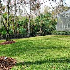 We are committed to providing the best lawn care service in brandon. Lawn Care Tampa Wesley Chapel Pinellas Medscapes