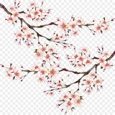 To view the full png size. Chinese New Year Flower Background Png Download 5000 5000 Free Transparent Tangyuan Png Download Cleanpng Kisspng