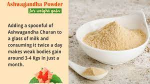 Regular Consumption Of Ashwagandha Helps You Gain Weight Even When Nothing Else Works Ayur Health Tips