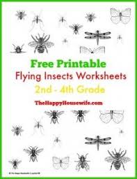 Flying Insects Worksheets Free Printables The Happy Housewife Home Schooling Insect Unit Study Free Homeschool Printables Flying Insects