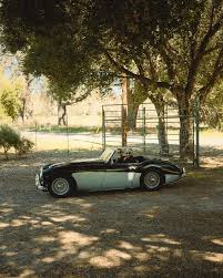 Image result for Brown 1968 Fleet