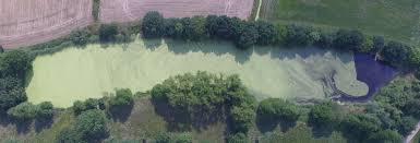 Sieh dir an, was andrea otersen (a_otersen) auf pinterest, der weltweit größten sammlung von ideen, entdeckt hat. See Otersen Aktiv Lebenswert Zukunftsorientiert Mitten In Niedersachsen