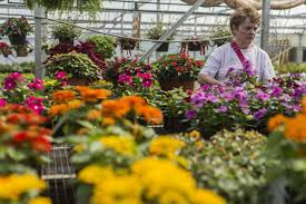 Home garden store help save space and substantially beautify any balcony, home, or public area in which they are placed. Gary S Garden Center In Forest Grows Into Rustic View Home And Gardens Business News Newsadvance Com