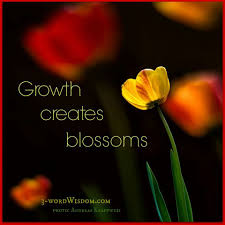 Pin By Christine Scarbrough On Inspirational Quotes Blossom Quotes Flower Quotes Bloom Quotes