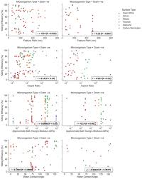 Designing Effective Antimicrobial Nanostructured Surfaces: Highlighting the  Lack of Consensus in the Literature