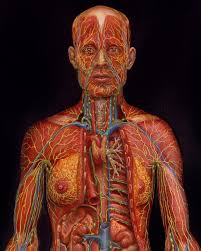 Massage Therapist Sylvia Ferrari-Miller