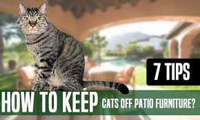 How To Keep Cats Off Patio Furniture Follow 7 Tips In 2020 Cats Patio Furniture Patio