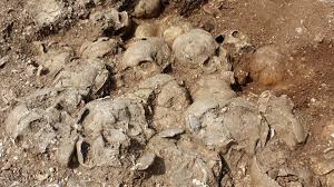 51 Headless Vikings in English Execution Pit Confirmed | National Geographic