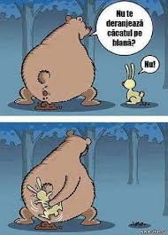 Facebook is showing information to help you better understand the purpose of a page. Pagina Cu Poze Haioase Home Facebook