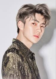 Ash Blonde Oh Sehun Exo Hair Ash Blonde Sehun
