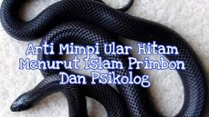Maybe you would like to learn more about one of these? Arti Mimpi Ular Hitam Menurut Islam Primbon Dan Psikolog Youtube