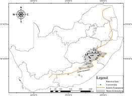 Image result for Scleria welwitschii