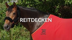 Matte reflects on how the way we dress informs and shapes the space in which we exist. Mattes Online Shop Und Konfigurator Fur Reitsport Produkte Mattes Online Shop