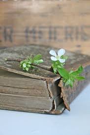 My Inner Landscape Book Flowers Old Books Antique Books