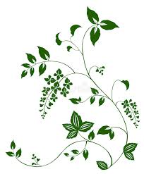 The breezy fabric allows light to filter through and provides a bit of privacy. Vine Pattern Stock Illustrations 30 210 Vine Pattern Stock Illustrations Vectors Clipart Dreamstime