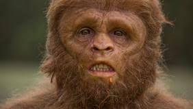 Notre ancêtre Lucy est morte en tombant d'un arbre