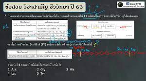 Чаттарика ситтипром / care chattarika sittiprom / ฉัตรฑริกา สิทธิพรม. à¹€à¸‰à¸¥à¸¢à¸‚ à¸­à¸ªà¸­à¸š 9à¸§ à¸Šà¸²à¸ªà¸²à¸¡ à¸ à¸› 63 à¸‚ à¸­ 5 Youtube