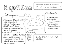 Reptilien Sketchnote Unterrichtsmaterial In Den Fachern Biologie Sachunterricht In 2020 Reptilien Wirbeltiere Sketch Note