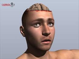 need to cut open Vicky's head ...