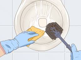 Did you know that household toilet tabs that conta. 3 Ways To Clean Hard Water Stains In A Toilet Wikihow