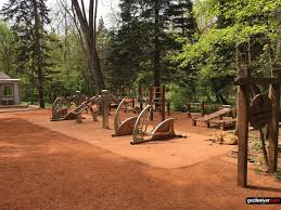 belgrad ormani spor alani goller geziler ormanlar