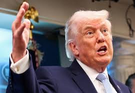 Ông Trump chỉ trích NATO là hổ giấy, muốn rời đi vì Greenland | Znews.vn
